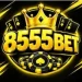 8555bet