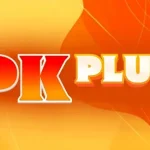 PKPLUS