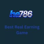 he 786 game